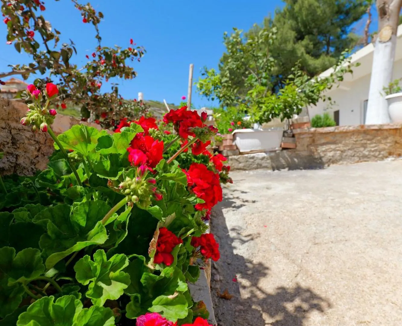 Appartement Flower Vila Saranda