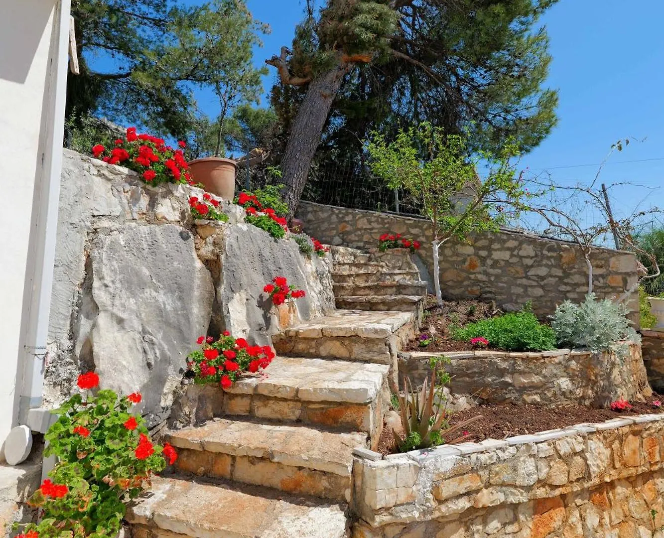 Appartement Flower Vila Saranda