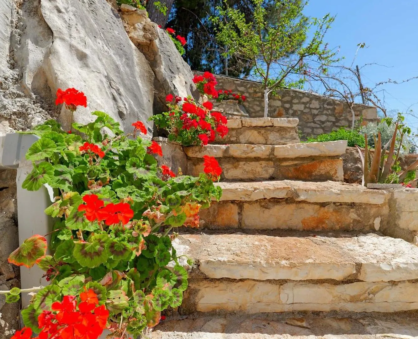 Flower Vila Saranda 0*,  Albanie