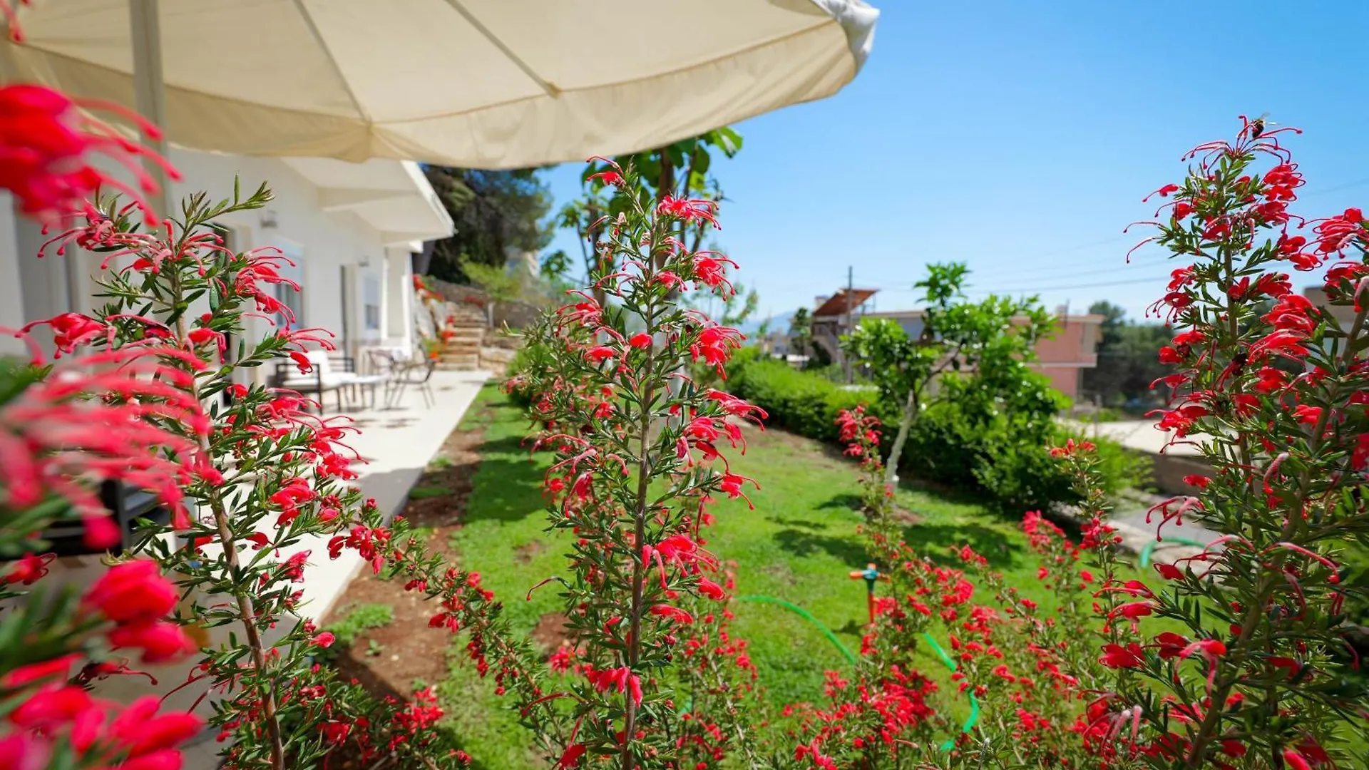 Flower Vila Saranda Appartement
