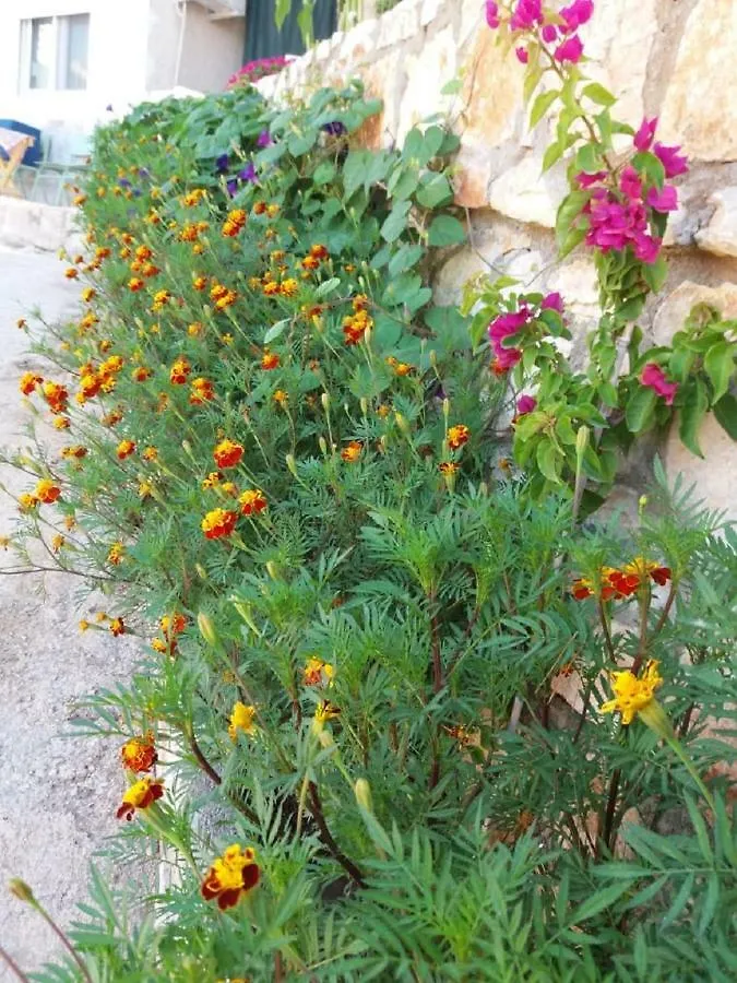 Flower Vila Saranda 0*,
